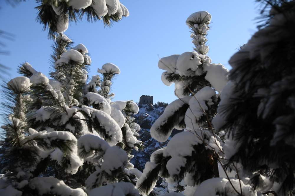 雪后独上大南山 069.jpg