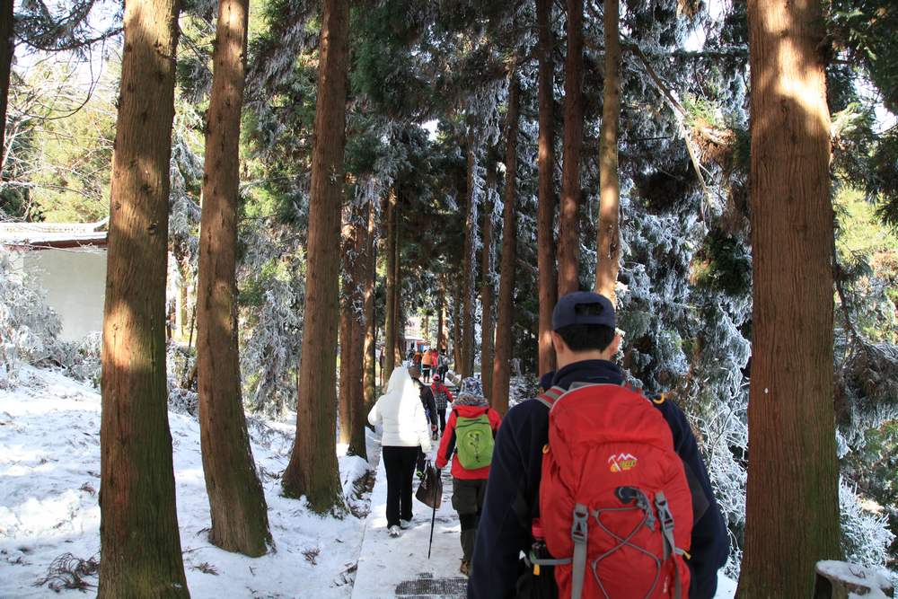 张家界和，天门山，凤凰古城 327.jpg