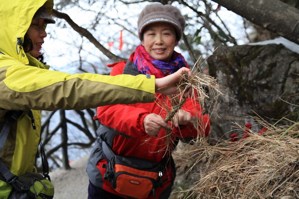 张家界和，天门山，凤凰古城 992.jpg