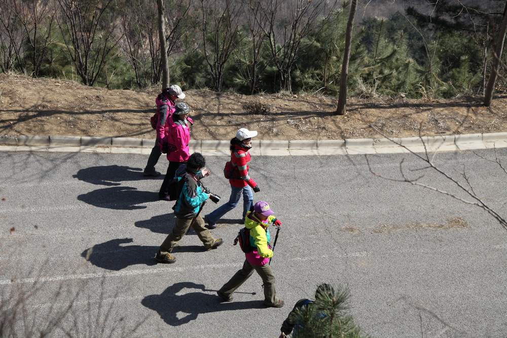 走南山遇彩驴，向学子荐前线 087.jpg