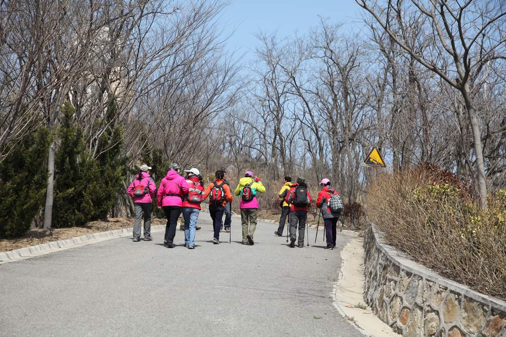 走南山遇彩驴，向学子荐前线 201.jpg