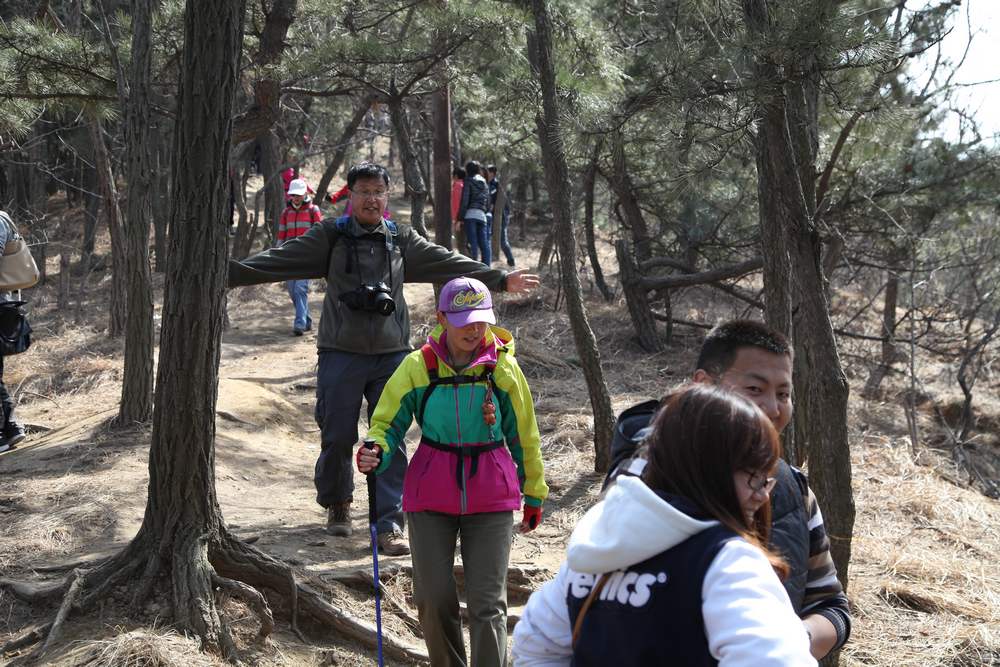 走南山遇彩驴，向学子荐前线 240.jpg