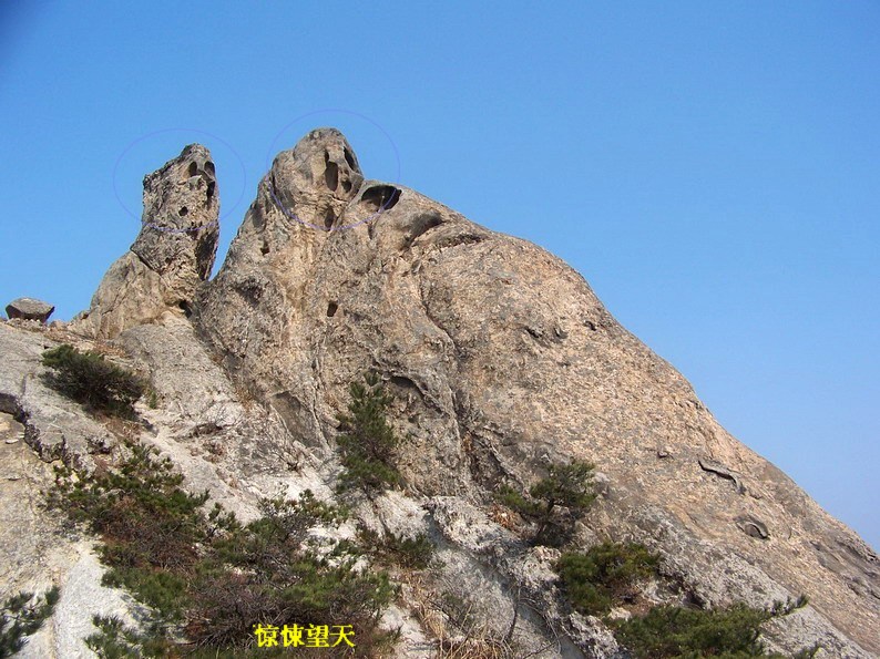 100_7048_缩小大小.JPG