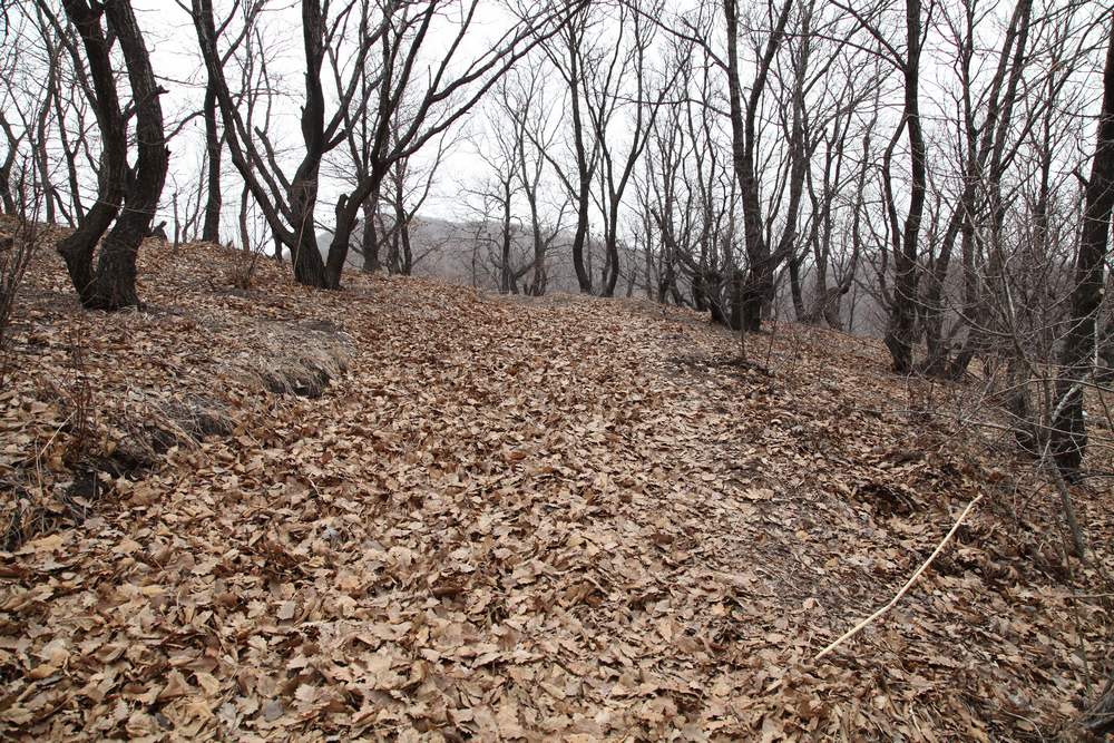 苍岩山，嶂石岩 803.jpg