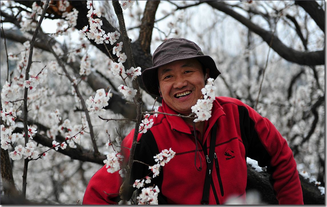 杏花雪 281.jpg