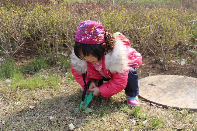 雪域神鹰家滴小美驴