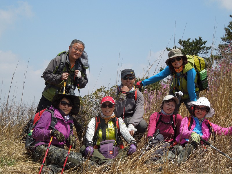 满山遍野映山红8.jpg