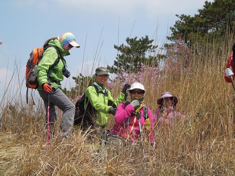 满山遍野映山红4.jpg