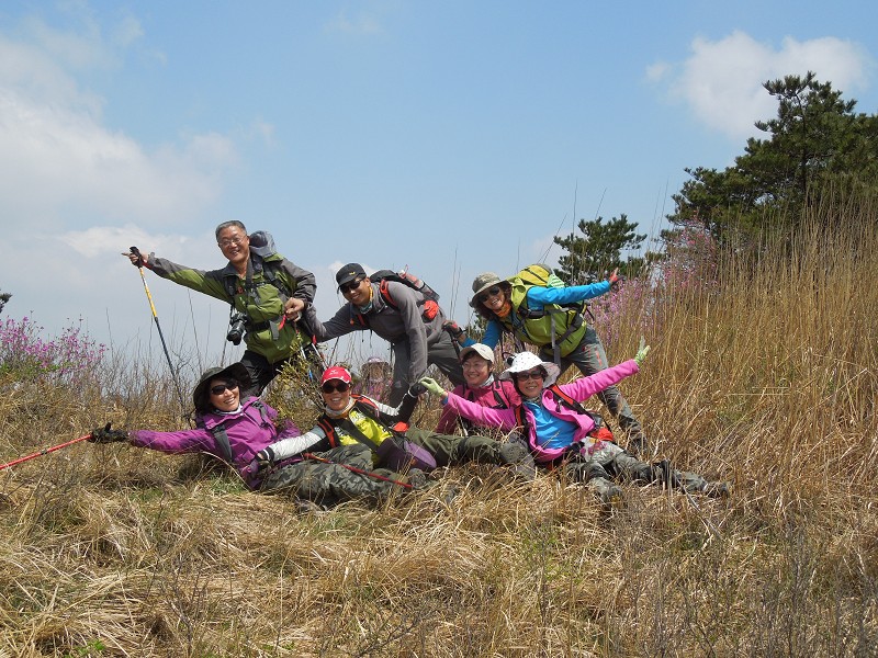 满山遍野映山红0.jpg