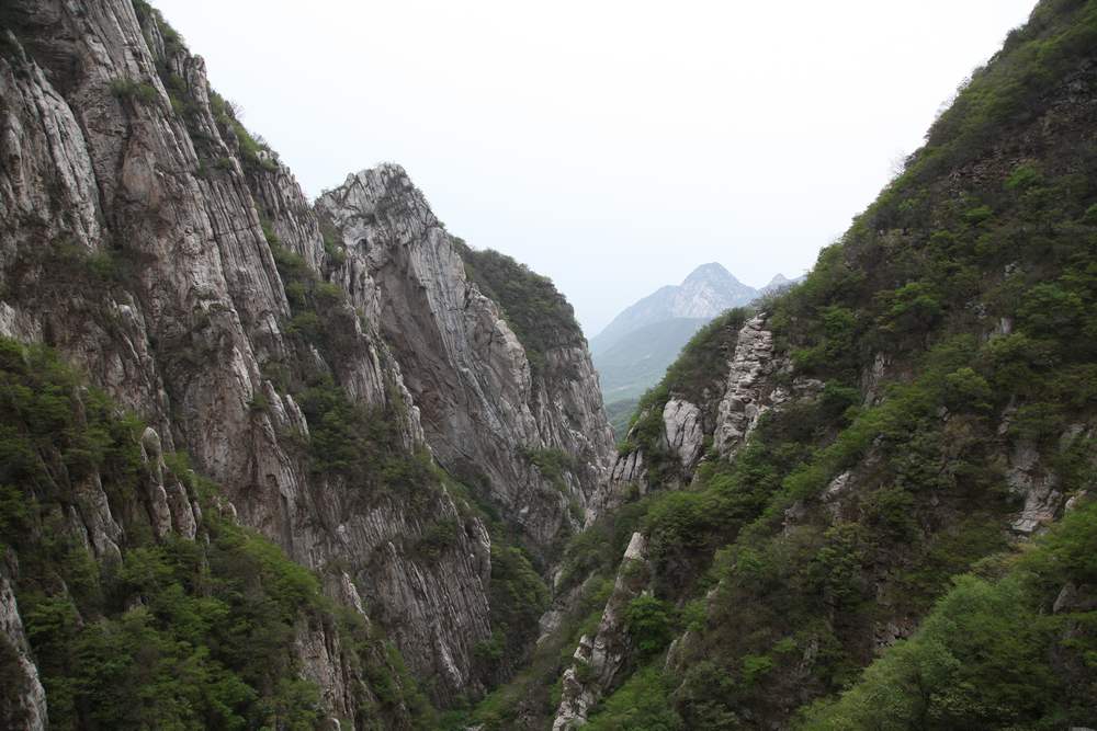 嵩山，白马寺 230.jpg