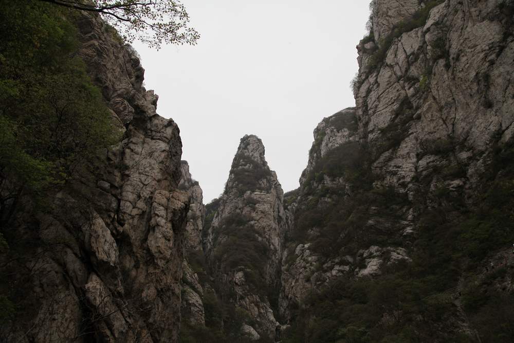 嵩山，白马寺 231.jpg