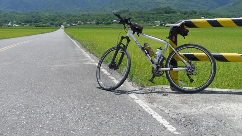 台东池上伯朗大道，稻香绿意盎然了整条乡道_副本.jpg