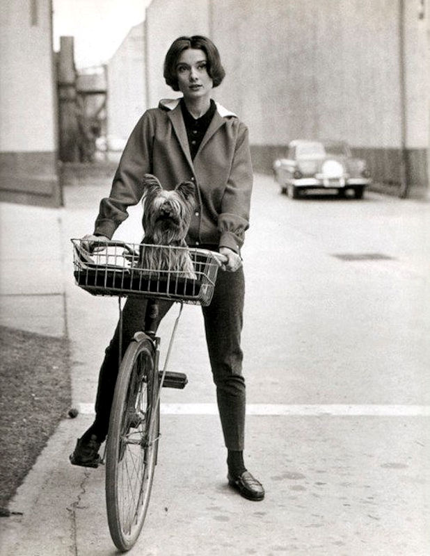 荷兰自行车就是要加上前置宽版大篮子，藤编也好、铁篮也好，都可以载着家中宝贝宠物！.jpg